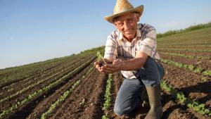 Congreso debatirá hoy iniciativa que propone crear un régimen previsional especial de pensiones para los agricultores