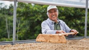 Conoce la comunidad que huyó del terror y ahora produce café libre de deforestación