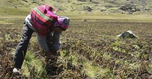 Conveagro pide declarar en emergencia el sector agropecuario