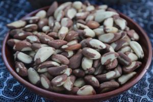 Cooperativa de Madre de Dios exporta 16 toneladas de castaña orgánica a EE.UU.