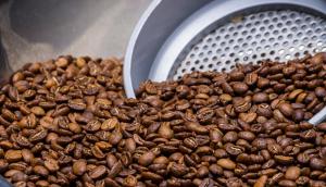 Cooperativas participan con el 32% de exportaciones de café entre enero y junio de este año