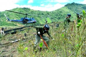 Corah erradica 19.176 hectáreas de cultivos ilegales de hoja de coca en 2022