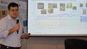 Cosecha mundial de café verde alcanzaría los 174 millones de sacos en la campaña 2024/2025