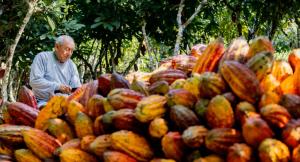 Crecen las agroexportaciones a Costa Rica, sumaron US$ 52.986.000 en 2025