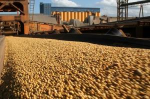 Creció la importación de soya en 2019 y llegó a valores de US$ 142.6 millones