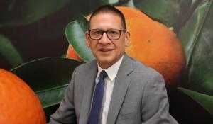 “De no instalarse nuevas áreas de mandarina en 2025 o 2026, dentro de tres años habrá un estancamiento en las exportaciones de cítricos”