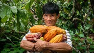 “Debemos destacar la excelencia del cacao que tenemos en el Perú gracias a nuestra biodiversidad”