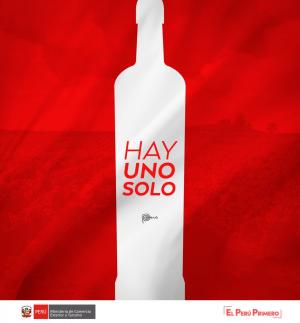 Descartan posibilidad de compartir con Chile denominación de origen del pisco