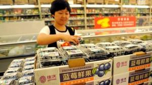 Despachos de arándanos peruanos a China crecen un 19% en la campaña 2025-2026