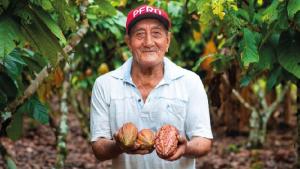 Devida brindó asistencia técnica y comercial a 88 organizaciones cacaoteras en 2025