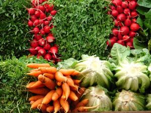 DICTARÁN CURSO SOBRE PROCEDIMIENTO PARA IMPORTAR PRODUCTOS VEGETALES