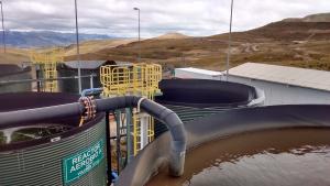 Disal proyecta crecer hasta 16% este año con sus soluciones para agroindustria