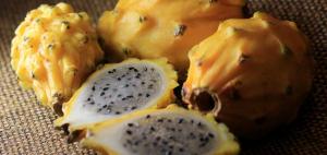 Ecuador certifica su primer envío de pitahaya orgánica a Estados Unidos