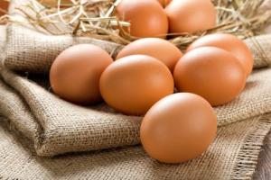Ecuador es el principal comprador de huevos fecundados peruanos