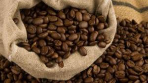 Ecuador exportó por primera vez café arábiga sostenible a Canadá