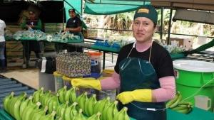 "El banano orgánico peruano enfrenta una dura campaña, pero mantiene su apuesta por los mercados de nicho"