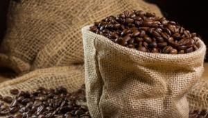 “El café demuestra que los cultivos alternativos actúan como barreras efectivas contra los cultivos ilícitos”