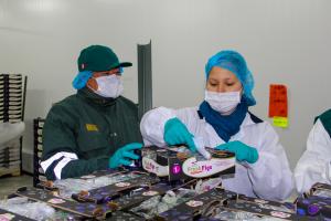 El higo se consolida como nuevo producto de exportación