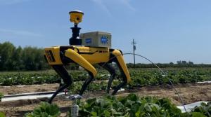 El mercado de los robots agrícolas alcanzaría los US$ 26.700 millones en 2027