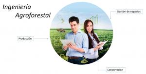 “El presente y futuro del agro está en la Gestión de Negocios Agronómicos"