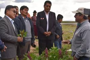 Embajador de China visitó Puno para agilizar exportación de quinua