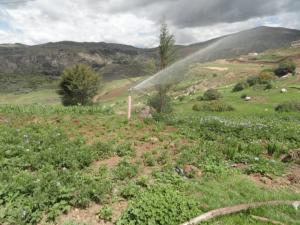 EMPRESARIOS ESPAÑOLES DESEAN APLICAR TÉCNICAS DE RIEGO EN PIURA 