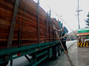 En 2018, Serfor realizó 579 intervenciones y decomisó un equivalente a 76 camiones de madera