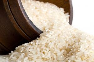 En el 2016 ingresaron más de 181 millones de kilos de arroz desde Uruguay