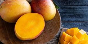En Marcha el Taller de las Organizaciones de Mango Extranjeras Promovido por la National Mango Board
