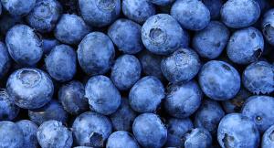 ENVÍOS DE ARÁNDANOS SE CUADRIPLICARON DURANTE ENERO-JULIO DE ESTE AÑO