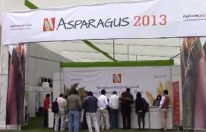 ESPÁRRAGO: ADVIERTEN LA NECESIDAD DE DESARROLLAR SEMILLEROS PROPIOS 