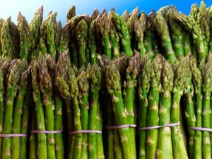 ESPÁRRAGO LIDERA RANKING DE AGROEXPORTACIONES NO TRADICIONALES