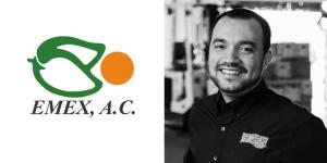 “Estados Unidos y Europa son dos mercados con un gran potencial de crecimiento para el mango mexicano”