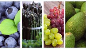 Estados Unidos y Países Bajos adquirieron el 50% de las agroexportaciones peruanas en 2019