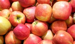 Europa espera una campaña de manzana similar a la del año pasado