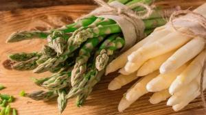 Europa: la ventana para el espárrago peruano