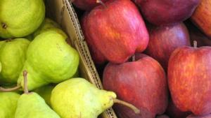 Existencias de manzanas  en la UE bajan -9.9% y las de peras caen -31.3% al 1 de junio de 2025