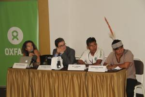 EXPANSIÓN DE PALMA ACEITERA PONE EN PELIGRO 150 MIL HAS DE BOSQUES PRIMARIOS