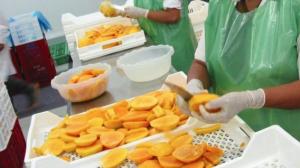 Exportaciones agrarias sumarían US$ 1.327 millones en el primer bimestre de 2019