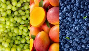 Exportaciones agroindustriales de Perú sumaron US$ 3.441.100.000 entre enero y abril de 2025, mostrando un aumento de 28.3%