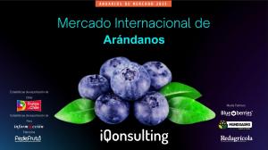 Exportaciones de arándanos del hemisferio sur alcanzaron las 436.431 toneladas en la campaña 2024/2025