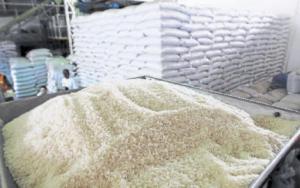 Exportaciones de arroz crecieron 200% en el primer semestre de este año