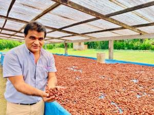 Exportaciones de cacao en grano por parte de Norandino crecerían 25% este año