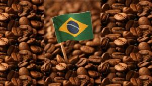 Exportaciones de café de Brasil alcanzaron las 2.726 mil toneladas por US$ 11.159 millones en 202