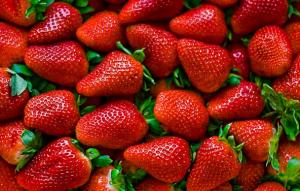 Exportaciones de fresas superaron los US$ 8 millones durante los cinco primeros meses del año