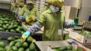 Exportaciones de La Libertad en 2024 alcanzaron los US$ 5.302 millones, mostrando un alza de +13.5%