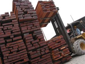 Exportaciones de madera cayeron 21.7% en el primer semestre del año