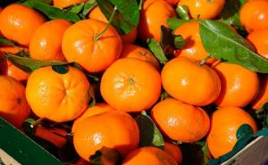 Exportaciones de mandarinas llegan a valores de US$ 43.5 millones