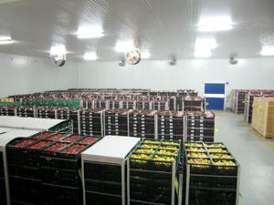 EXPORTACIONES DE PERÚ VÍA AÉREA PODRÍAN PERDER COMPETITIVIDAD