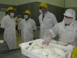 EXPORTACIONES DE POTA SE INCREMENTAN EN 6.4%